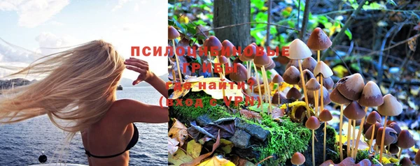 МДПВ Ступино