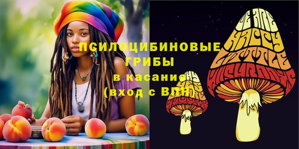COCAINE Белокуриха