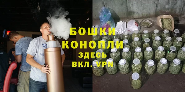 PSILOCYBIN Белоозёрский