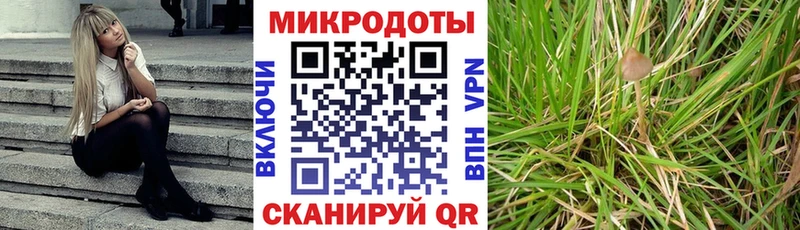 Галлюциногенные грибы Cubensis omg ссылка Будённовск